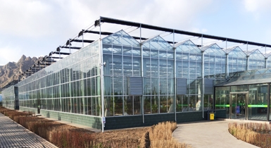 中國敕勒川現代農業產業園30000平米智能連棟玻璃溫室
